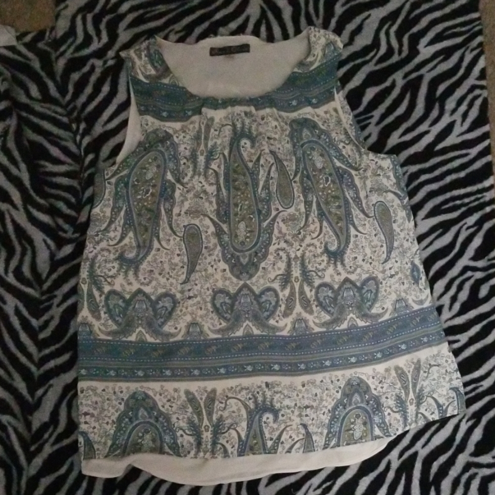 A dressed shirt